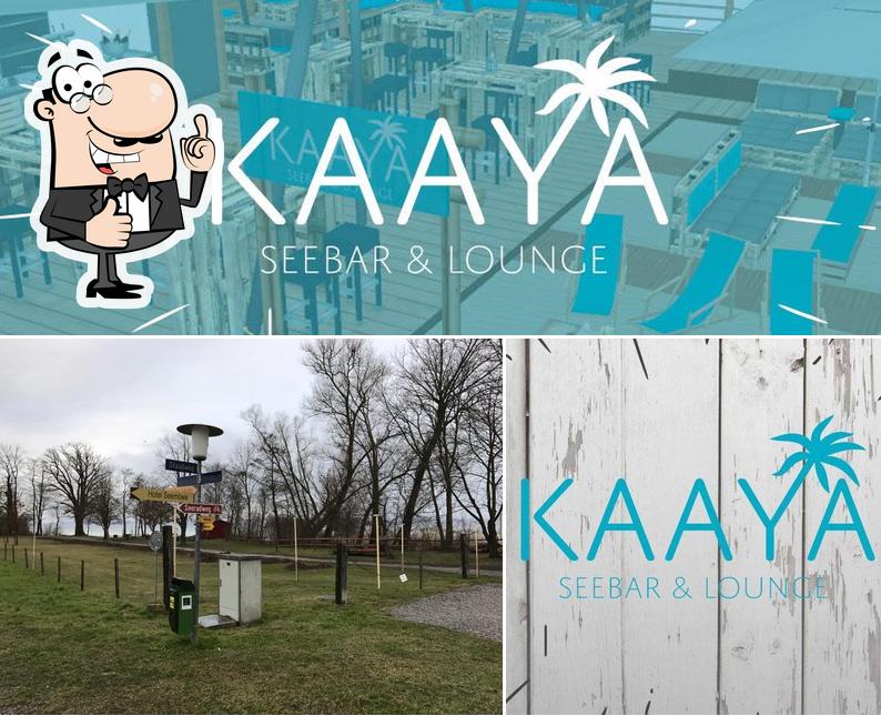 Kaaya