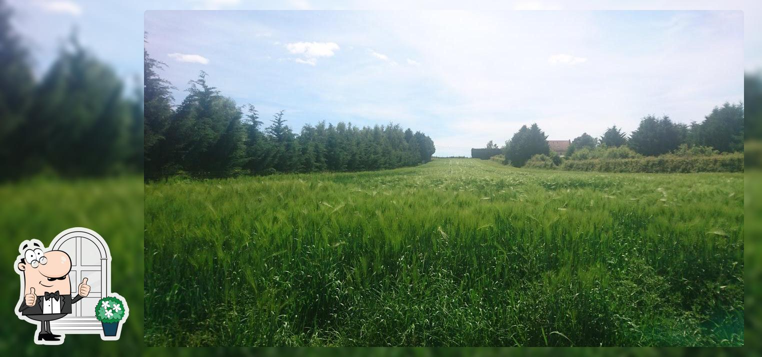 Profitez de la vue de l'espace ouvert de Croustad'Oc