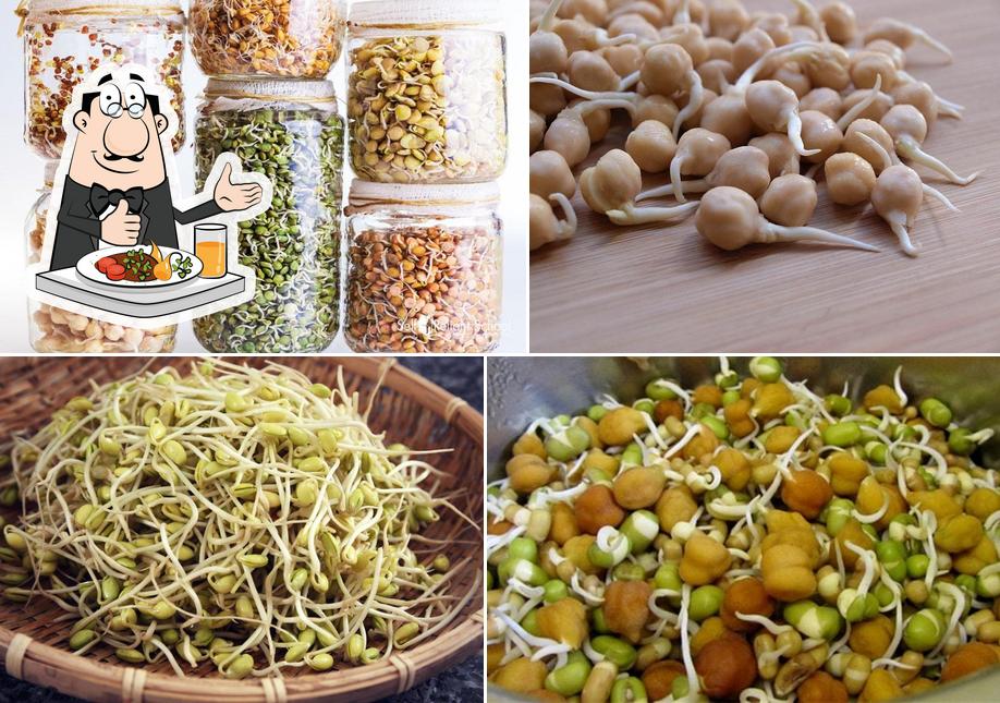 Shivshakti Sprouted Breakfast Center
