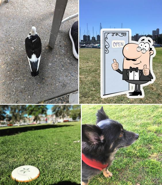 Best cafes in Rushcutters Bay, summer 2024 Restaurant Guru