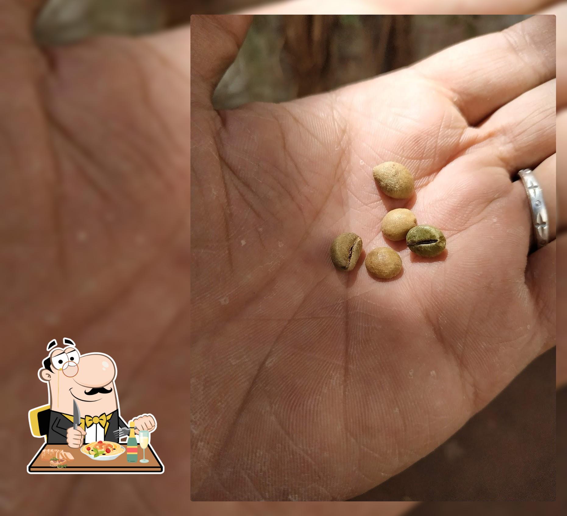 Sri Uma Coffee Curing Works