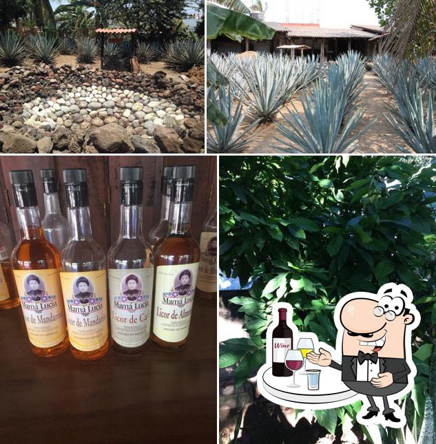 TequilaMama Lucia restaurant, Mezcales Restaurant reviews