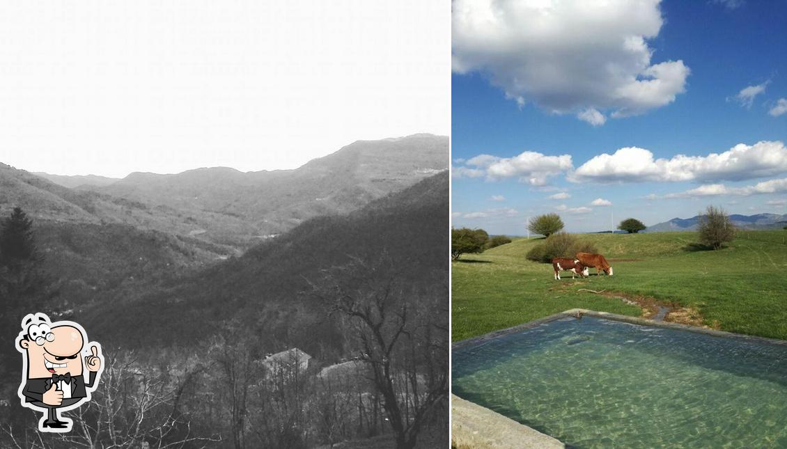 Regarder cette image de Azienda Agrituristica Campi