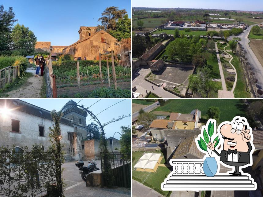 Gli esterni costituiscono una caratteristica importante di Casale di Teverolaccio