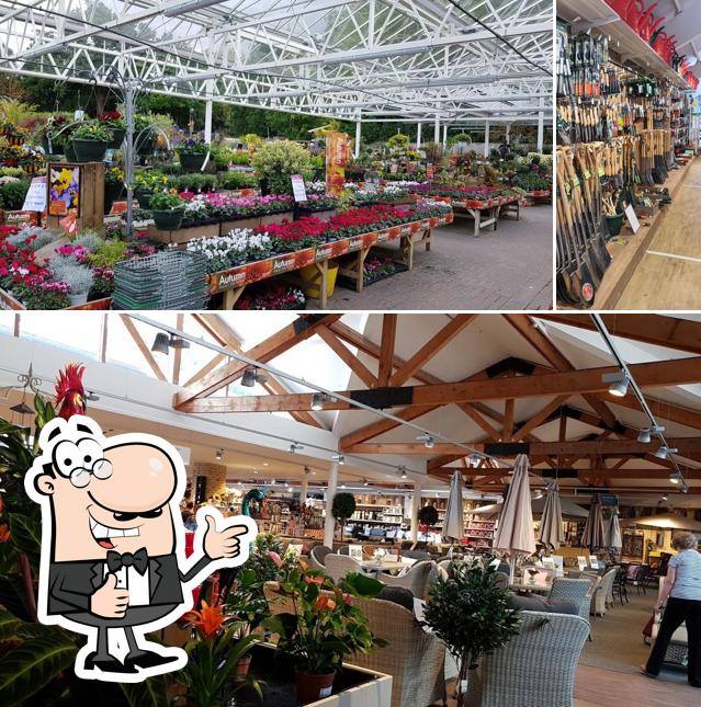 Here's a picture of Squires Garden Centre