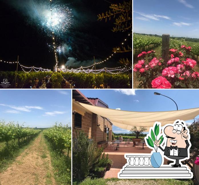 Agriturismo la Cantina