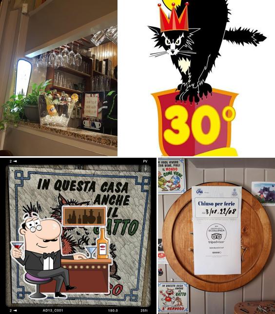 New Black Cat ristorante Arezzo Recensioni del ristorante