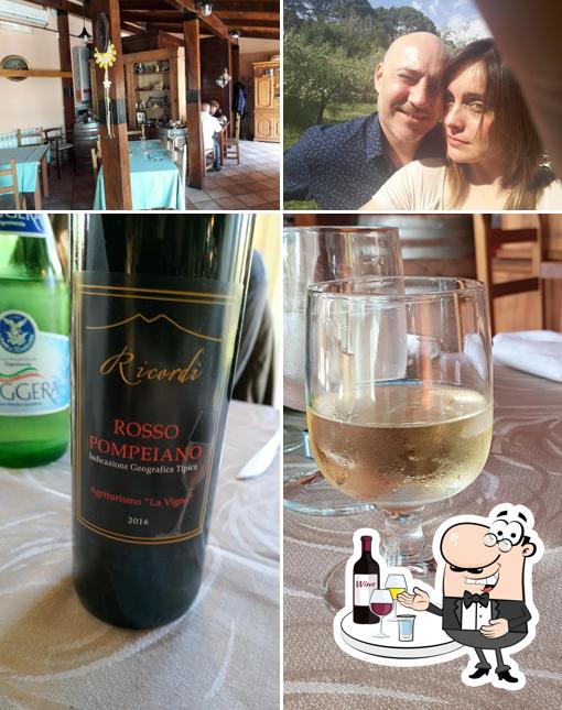 Agriturismo La Vigna