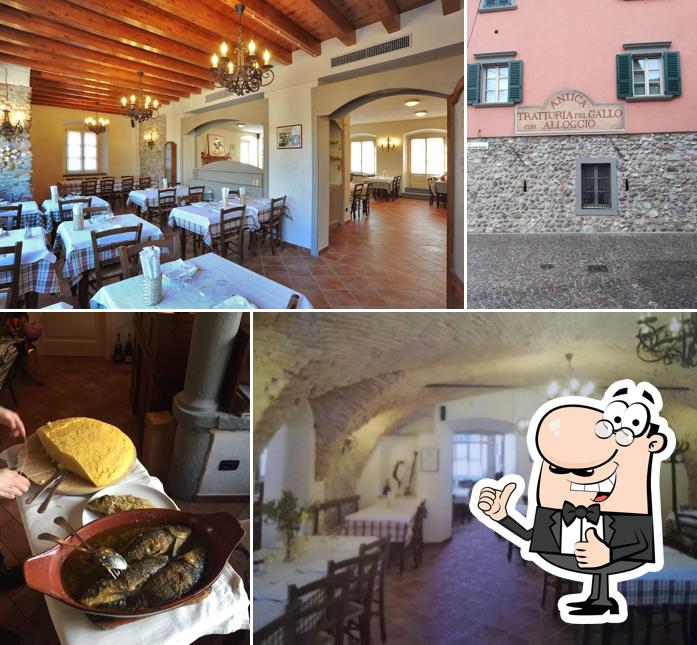 Look at the picture of Antica Trattoria del Gallo