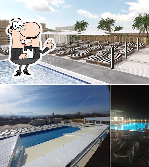 Pool Oasis