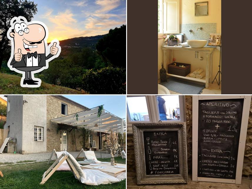 Forestarìa Azienda Agricola - Farm & B&B