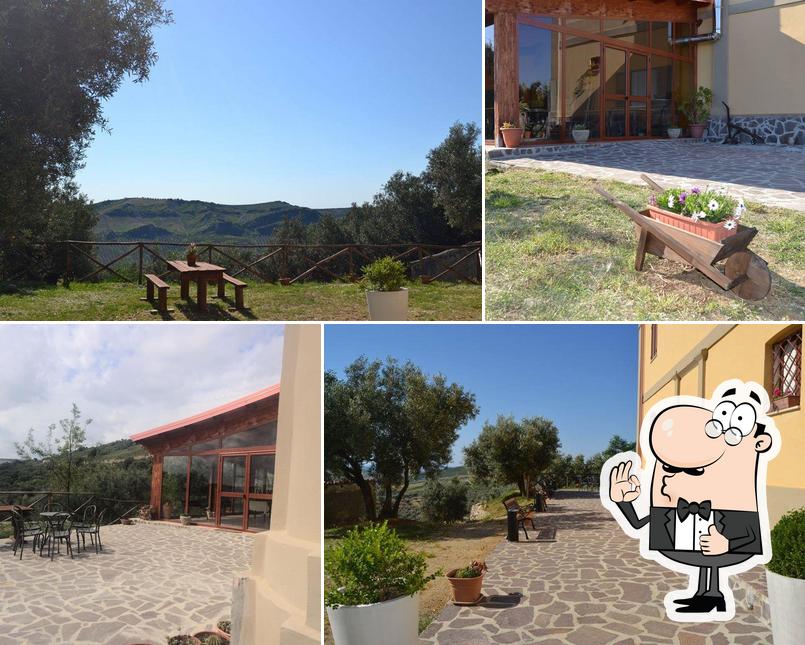 Ecco una foto di Agriturismo L'Uliveto