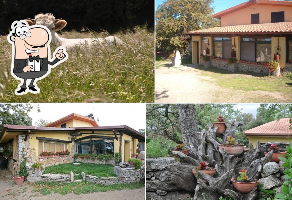 Guarda gli esterni di Agriturismo "Badu e Honne"