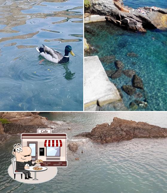 Gli esterni di Blu Marlin