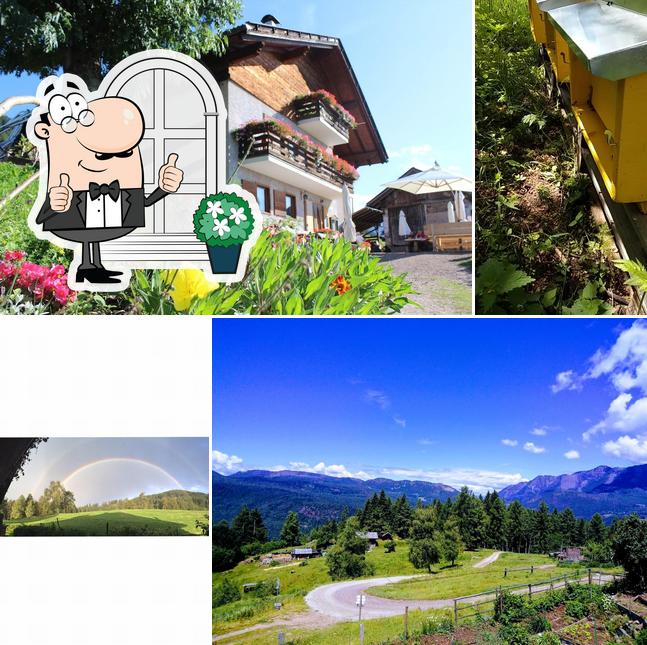 Agritur Malga Arodolo