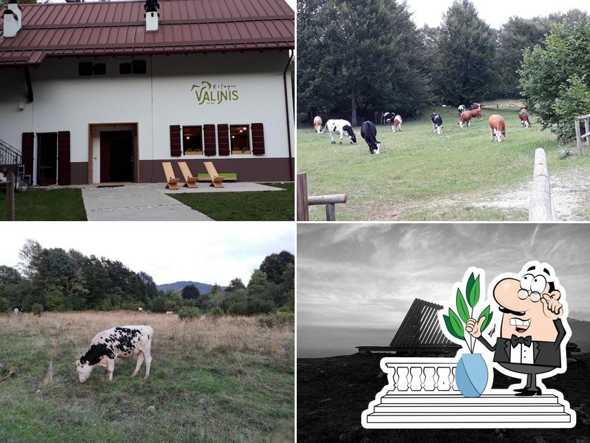 Malga Valinis Parapendio