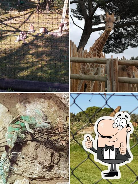 snack zoo la Barben