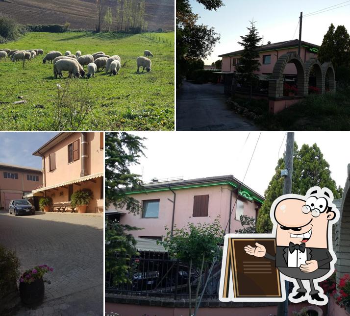 Guarda gli esterni di Agriturismo la Rocca Verde