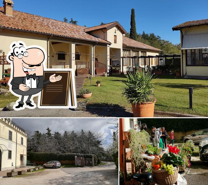 Goditi la vista dall'area esterna di Agricoltura Capodarco