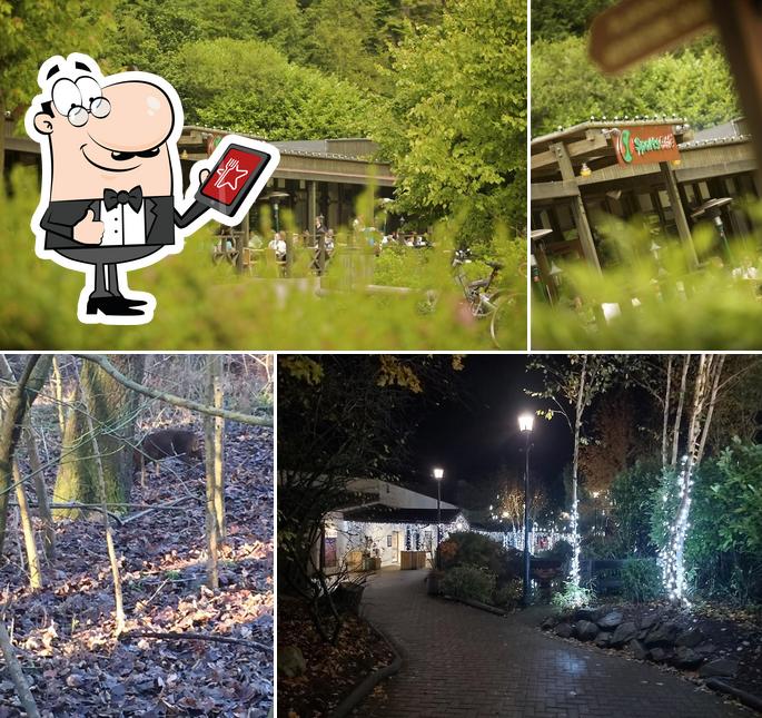 Sports Café at the Sports Plaza, Center Parcs Elveden Forest, Elveden Forest in Elveden