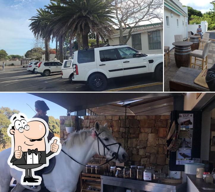 The Coffee Guy Noordhoek, Cape Town Restaurant reviews