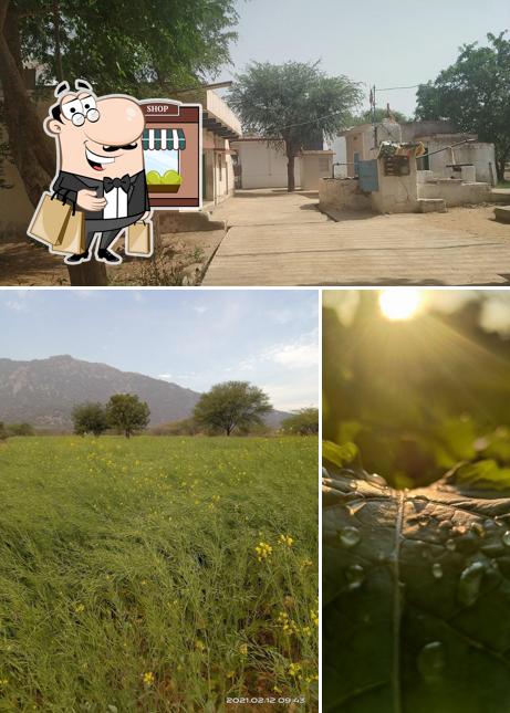 Singodiya House