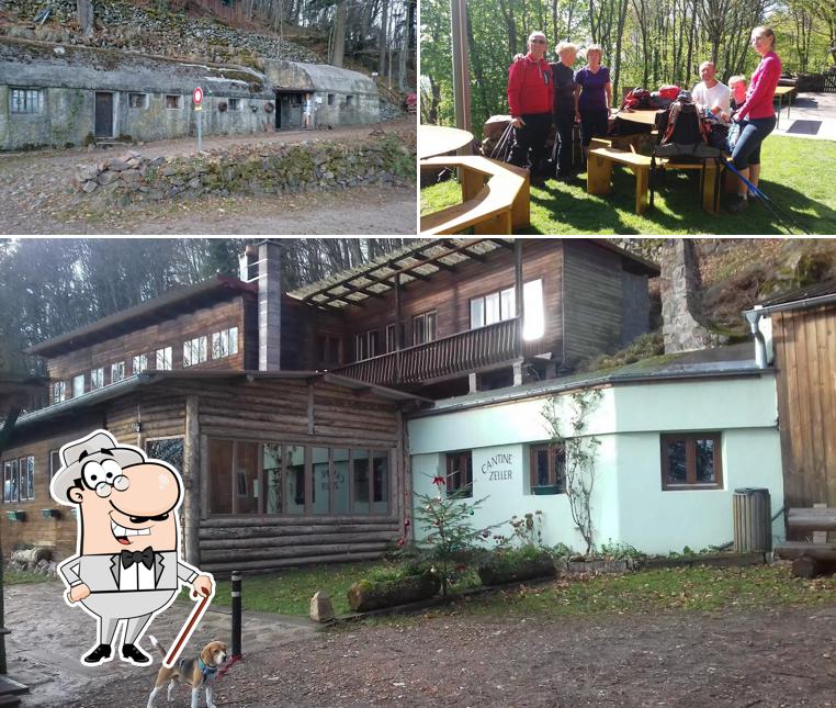 La photo de la extérieur et nourriture de Cantine Zeller’s