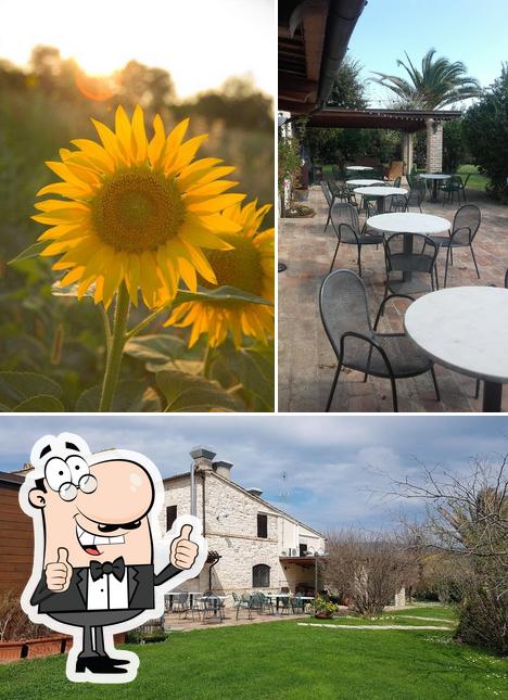 Voir la photo de Ristorante Il Girasole