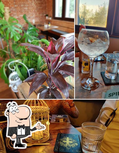 Estas son las imágenes que muestran interior y comedor en Gyre & Gimble Distillery