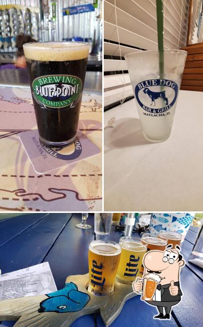 Blue Dog Bar & Grill in Matlacha Restaurant reviews