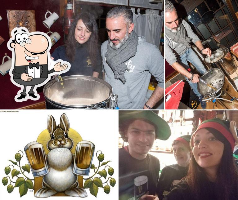 Pub Stella d'Oro