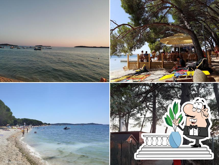 Goditi la vista dall'area esterna di Beach bar Sunrise