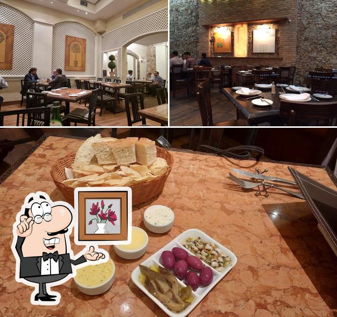 Among various things one can find interior and food at Giuseppe Grill Steakhouse