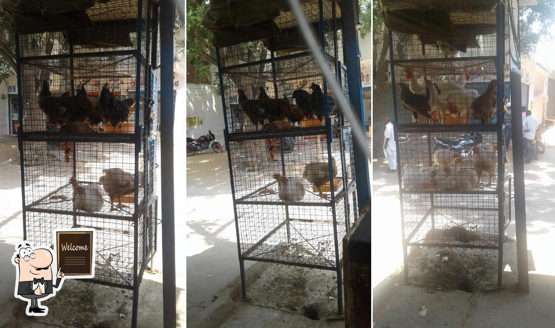 A1 Chicken Center