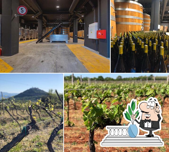 ROXANICH Winery and Design Hotel