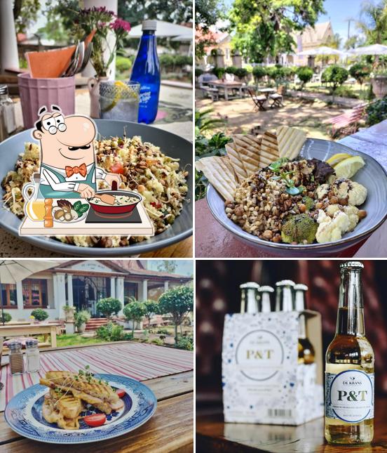 Wild Foods Café restaurant, Oudtshoorn Restaurant reviews