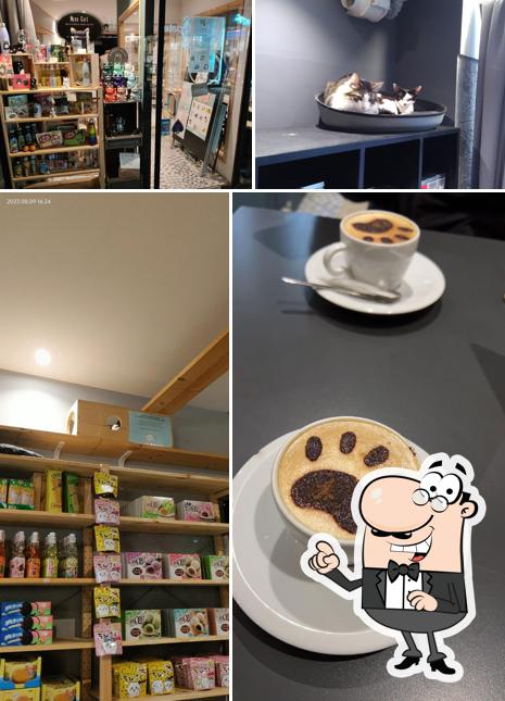 L'intérieur de Neko café Bar à chats