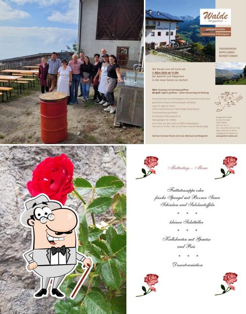Goditi la vista dagli esterni di Gasthof Walde