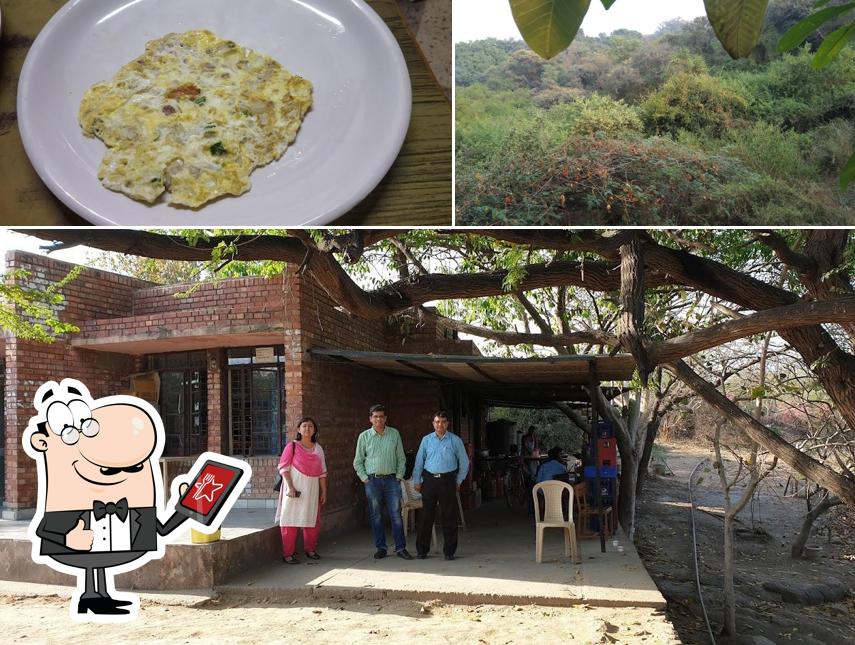 JNU Library Canteen, New Delhi Restaurant reviews
