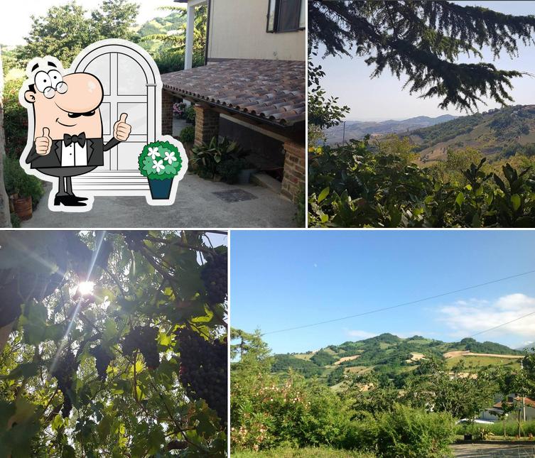 Agriturismo Bellavista