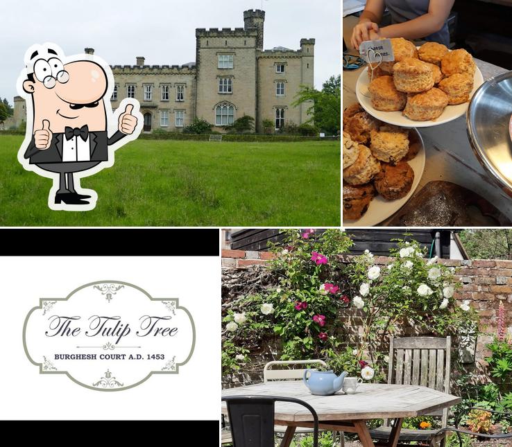 See the image of The Tulip Tree Tea Rooms