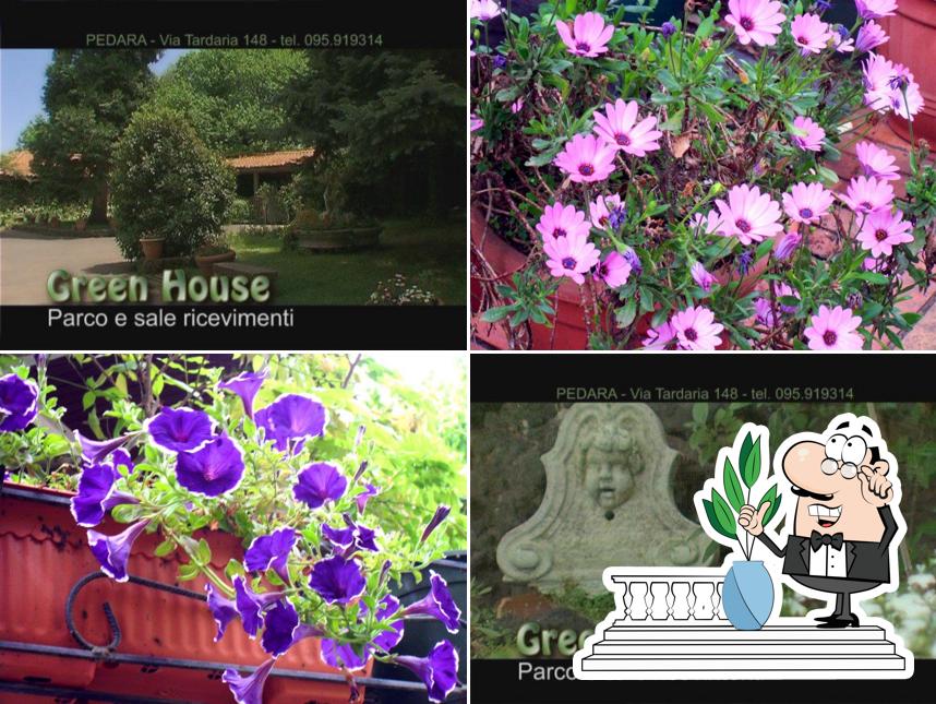 Gli esterni di Green House