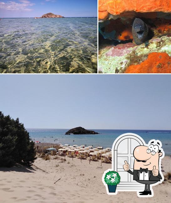 Guarda gli esterni di Araj