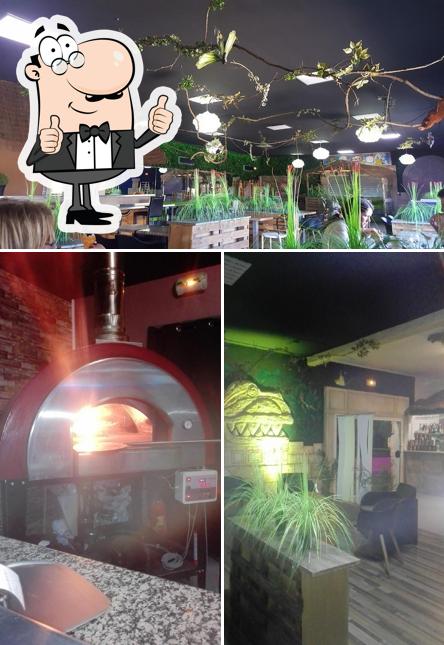 Voici une photo de The Jungle Burger Bar & Pizzeria