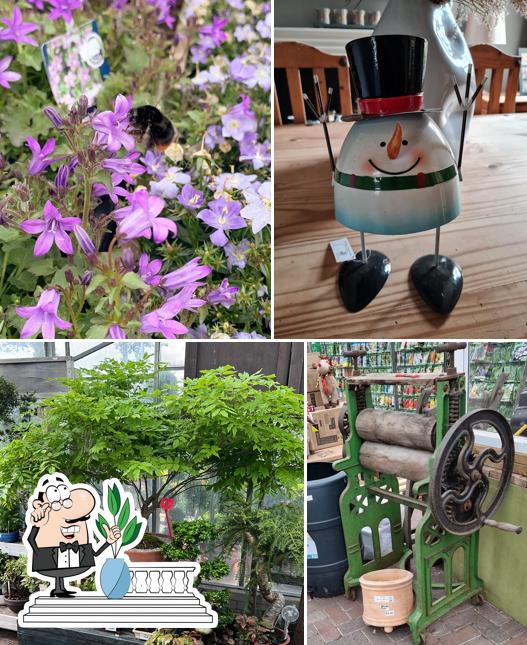 Stones Garden Centre