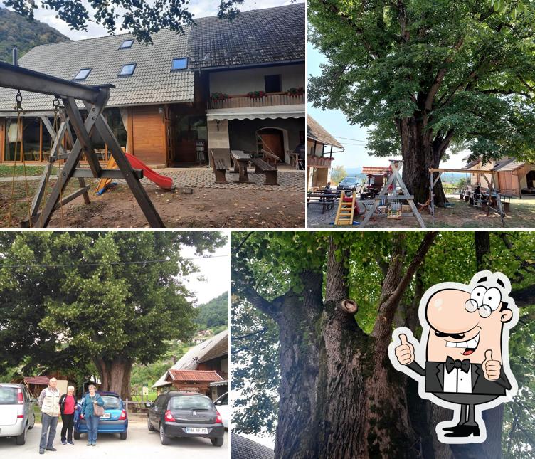 Okrepčevalnica pod staro lipo Franc Stariha s.p.