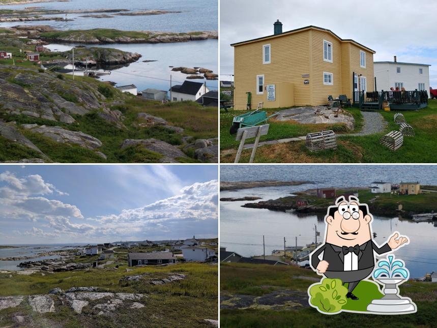 Ida's Place in Greenspond Restaurant reviews