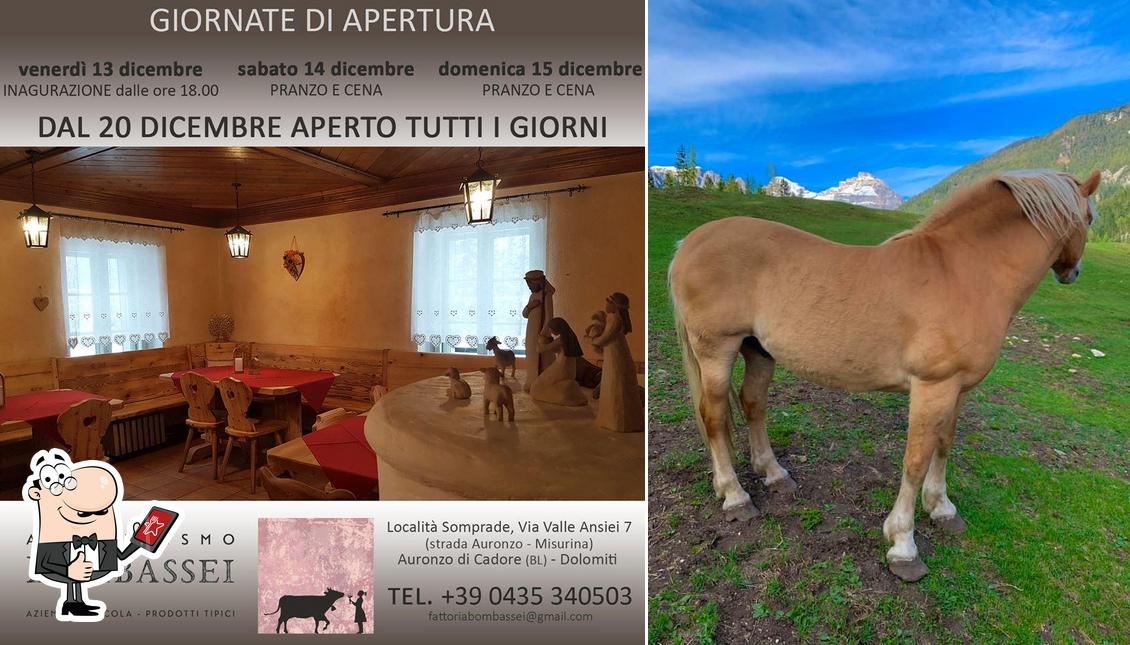 Voici une photo de Agriturismo Fattoria Bombassei-NUOVA Gestione