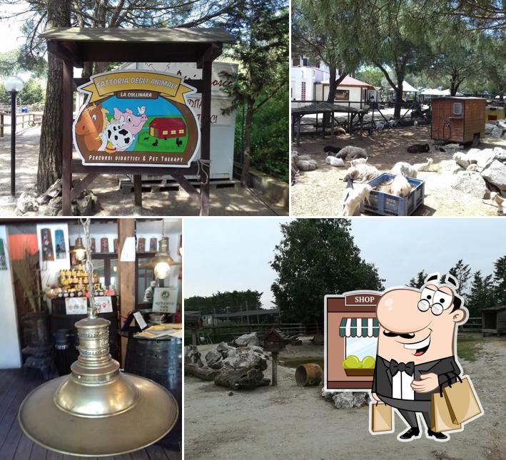 Agriturismo Fattoria degli Animali La Collinara
