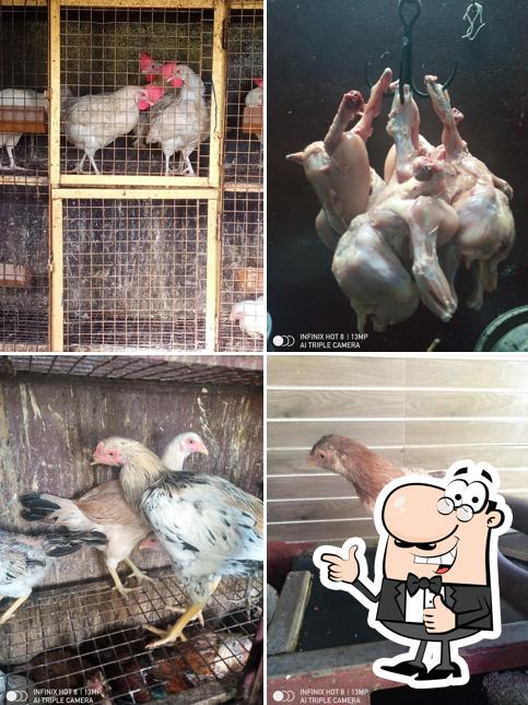 A R chicken centre